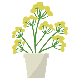 Blue Tansy Plant  Icon