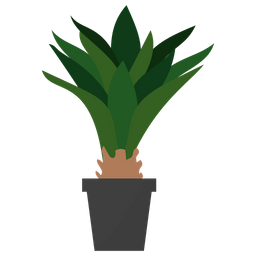 Agave, immergrüne Pflanze  Symbol