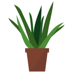 Aloe Topfpflanze  Symbol