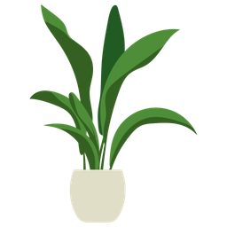 Planta em vaso de Aspidistra  Ícone