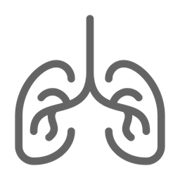 Lung  Icon