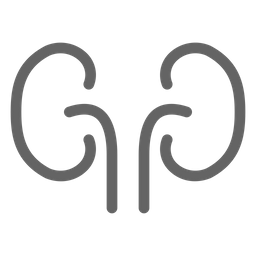 Kidney  Icon