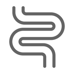 Intestine  Icon