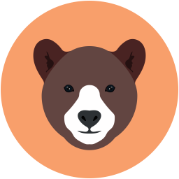 Bear  Icon