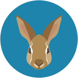 Bunny  Icon