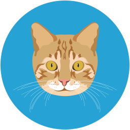 Cat  Icon