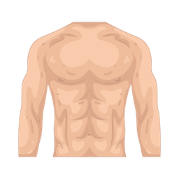 Abs Icon