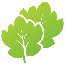 Koriander Blätter  Symbol