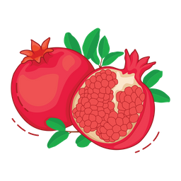 Pomegranate Fruit Fresh Icon