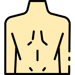 Parte posterior del cuerpo  Icono