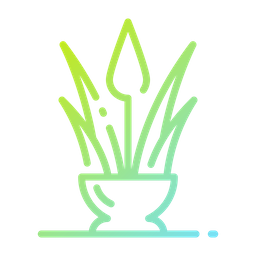 Aloe Vera  Symbol