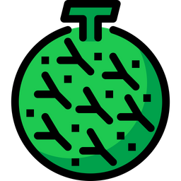 Cantaloupe  Icon