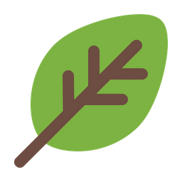 Leaf  Icon