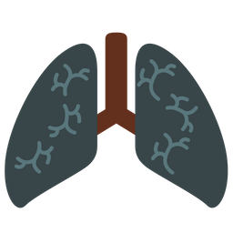 Câncer de pulmão  Ícone