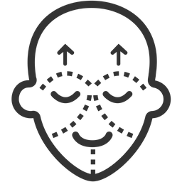 Cirurgia estética  Ícone
