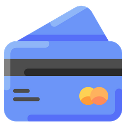 Debit  Icon