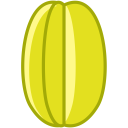 Karambole Frucht Fit Symbol