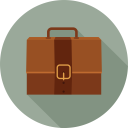 Bag  Icon