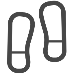 Footprint  Icon