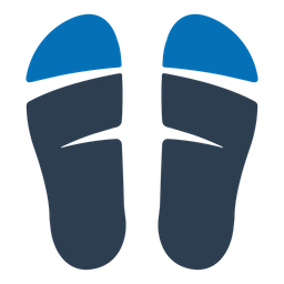 Flip flop  Icon