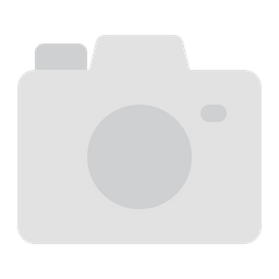 Camera  Icon