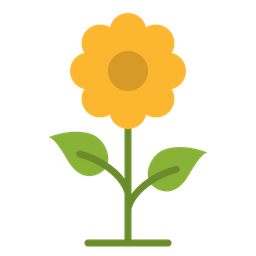 Flower  Icon