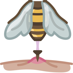 Bee  Icon