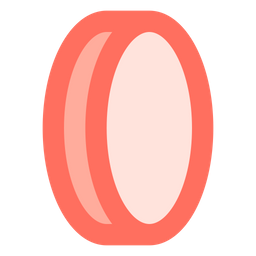 Coin  Icon