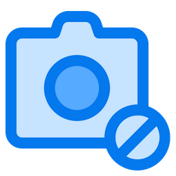 Camera  Icon