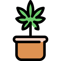 Planta de cannabis  Icono