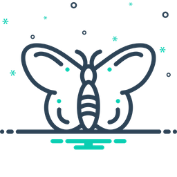 Butterfly  Icon