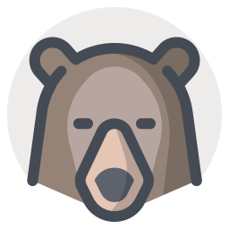 Bear  Icon