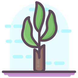 Banana Tree  Icon