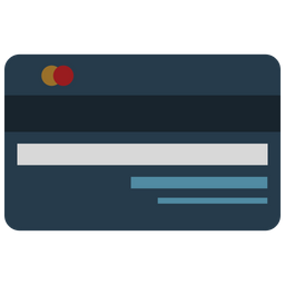 Pie Chart Visa Card Mastercard Icon