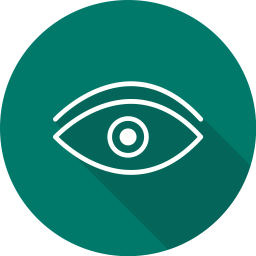 Eye  Icon