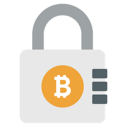 Bitcoin Encryption  Icon