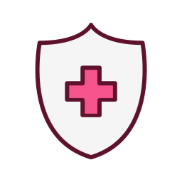 Shield  Icon