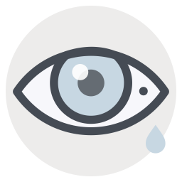 Cornea  Icon