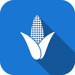 Corn  Icon