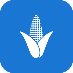 Corn  Icon