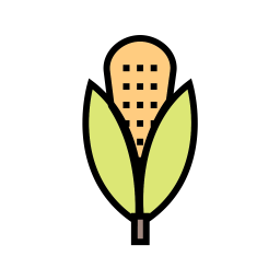 Corn  Icon