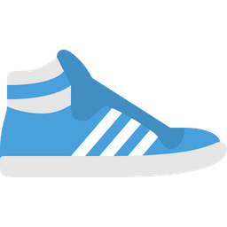 Adidas shoes  Icon