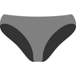 Briefs  Icon