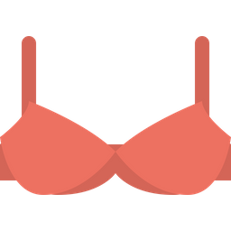 Bra  Icon