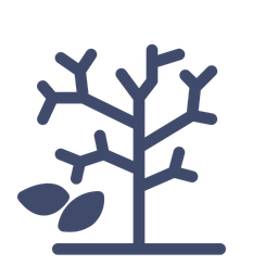 Bare Tree  Icon