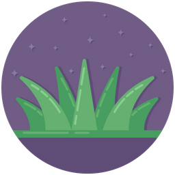 Aloe Vera  Symbol