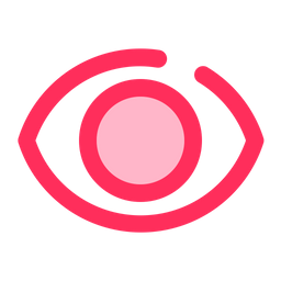 Eye  Icon