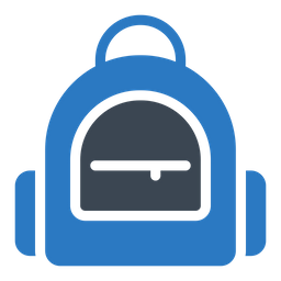 Bag  Icon