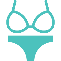 Bikini  Icon