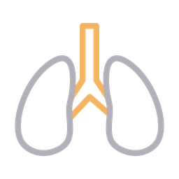 Pulmones  Icono